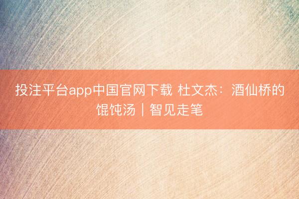 投注平台app中国官网下载 杜文杰：酒仙桥的馄饨汤｜智见走笔