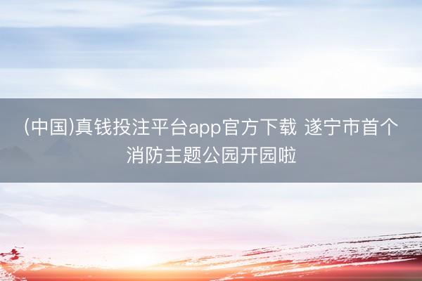 (中国)真钱投注平台app官方下载 遂宁市首个消防主题公园开园啦