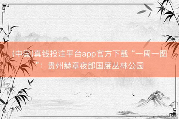 (中国)真钱投注平台app官方下载 “一周一图”：贵州赫章夜郎国度丛林公园