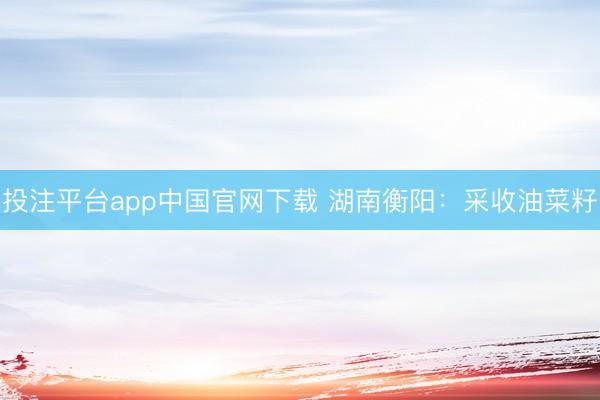 投注平台app中国官网下载 湖南衡阳：采收油菜籽