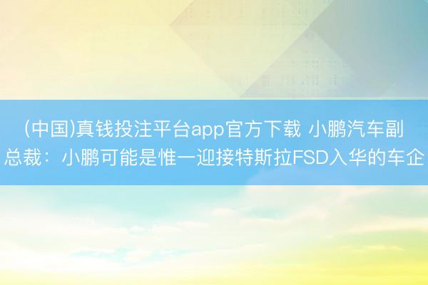 (中国)真钱投注平台app官方下载 小鹏汽车副总裁：小鹏可能是惟一迎接特斯拉FSD入华的车企