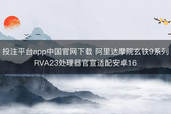 投注平台app中国官网下载 阿里达摩院玄铁9系列RVA23处理器官宣适配安卓16