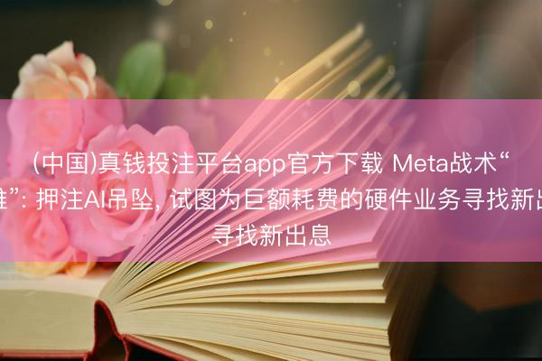 (中国)真钱投注平台app官方下载 Meta战术“降维”: 押注AI吊坠， 试图为巨额耗费的硬件业务寻找新出息