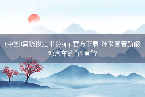(中国)真钱投注平台app官方下载 谁来管管新能源汽车的“体重”？