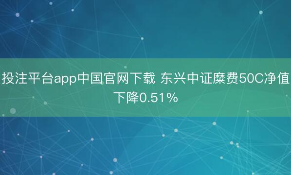投注平台app中国官网下载 东兴中证糜费50C净值下降0.51%