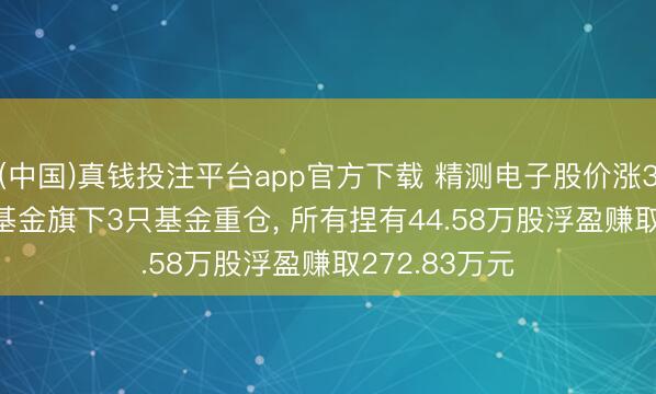 (中国)真钱投注平台app官方下载 精测电子股价涨3.24%， 建信基金旗下3只基金重仓， 所有捏有44.58万股浮盈赚取272.83万元