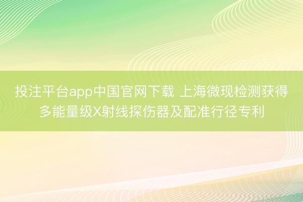 投注平台app中国官网下载 上海微现检测获得多能量级X射线探伤器及配准行径专利