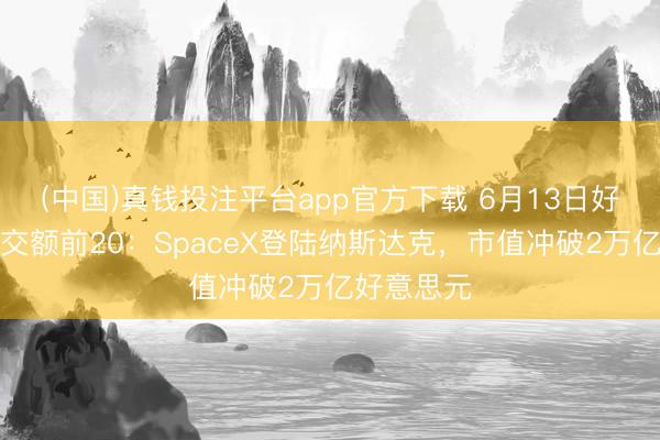 (中国)真钱投注平台app官方下载 6月13日好意思股成交额前20：SpaceX登陆纳斯达克，市值冲破2万亿好意思元