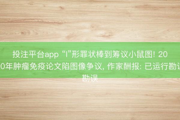 投注平台app “I”形罪状棒到筹议小鼠图! 2020年肿瘤免疫论文陷图像争议， 作家酬报: 已运行勘误