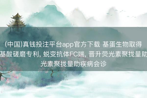 (中国)真钱投注平台app官方下载 基蛋生物取得抗体添氨基酸磋磨专利， 蜕变抗体FC端， 晋升荧光素聚拢量助疾病会诊