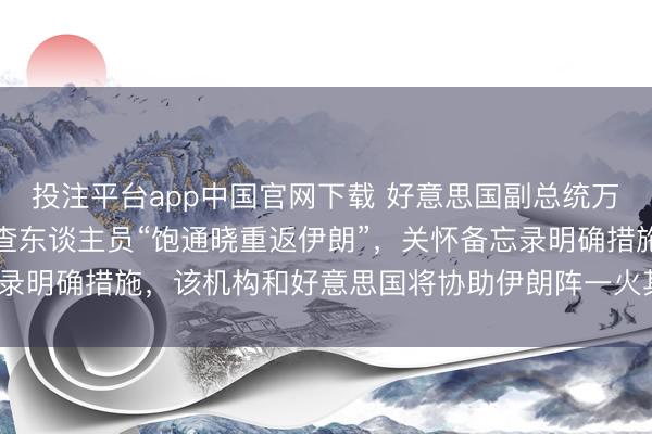 投注平台app中国官网下载 好意思国副总统万斯：海外原子能机构核查东谈主员“饱通晓重返伊朗”，关怀备忘录明确措施，该机构和好意思国将协助伊朗阵一火其高浓缩铀库存