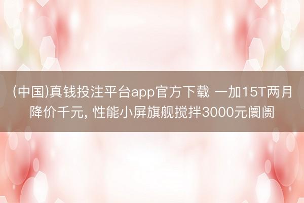 (中国)真钱投注平台app官方下载 一加15T两月降价千元, 性能小屏旗舰搅拌3000元阛阓