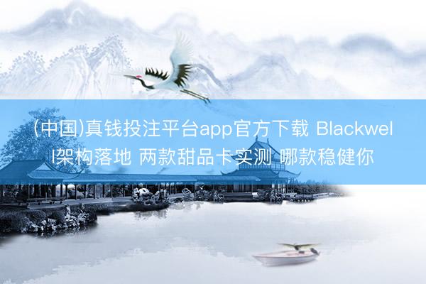 (中国)真钱投注平台app官方下载 Blackwell架构落地 两款甜品卡实测 哪款稳健你