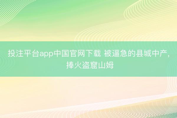 投注平台app中国官网下载 被逼急的县城中产， 捧火盗窟山姆