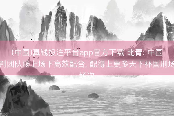 (中国)真钱投注平台app官方下载 北青: 中国裁判团队场上场下高效配合, 配得上更多天下杯国刑场次